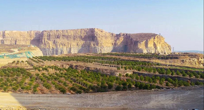 濟南平陰縣永發(fā)石料有限公司時產(chǎn)1000噸石子生產(chǎn)線綠化